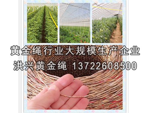 大棚壓膜繩材質(zhì)的選擇將影響大棚棚膜使用壽命